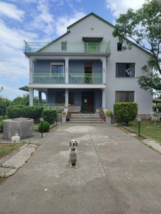 Green Garden Guesthouse شكودر المظهر الخارجي الصورة