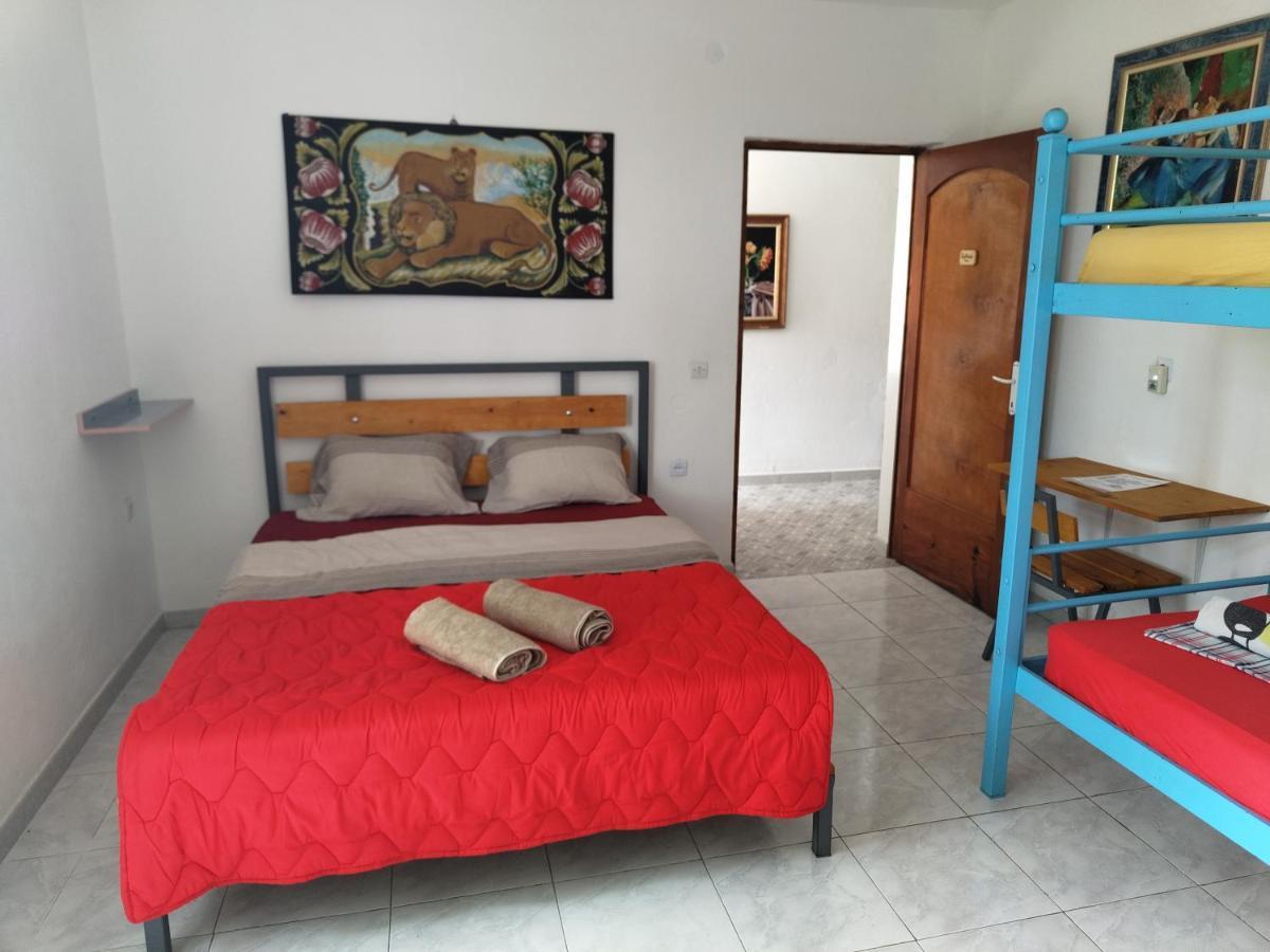 Green Garden Guesthouse شكودر المظهر الخارجي الصورة
