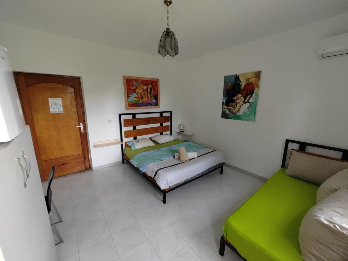 Green Garden Guesthouse شكودر المظهر الخارجي الصورة