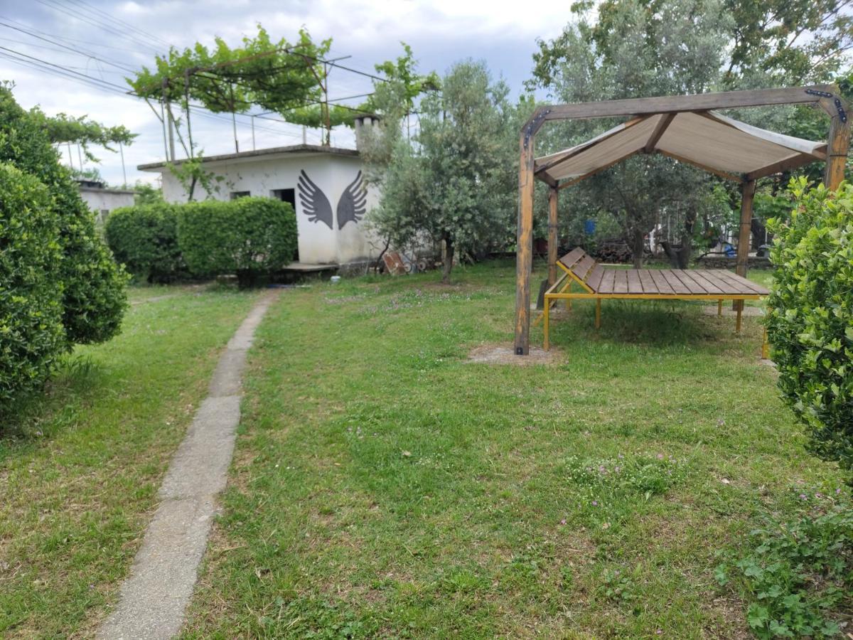 Green Garden Guesthouse شكودر المظهر الخارجي الصورة